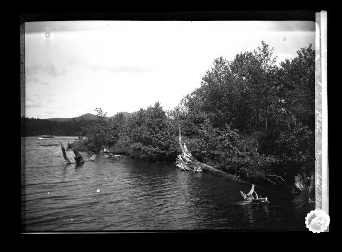 Shoreline of Lake Placid in the summertime