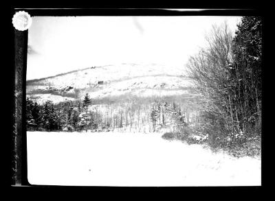 Winter landscape, Wood's Lake, Benson Township