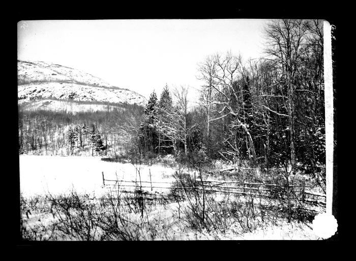 Winter landscape, north end of Wood's Lake, Benson Township