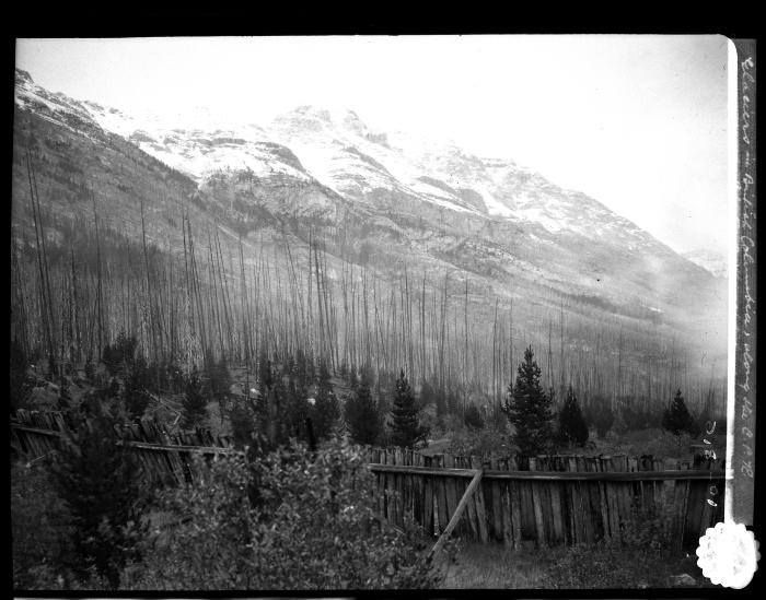 Glaciers in British Columbia