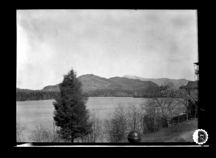 Houses and trees on the shore of lake