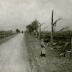 Trees cut down on the road from Noyon to Roye, France