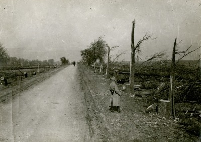 Trees cut down on the road from Noyon to Roye, France