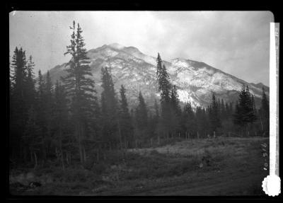 Evergreens and mountain in British Columbia, near the Pacific Coast