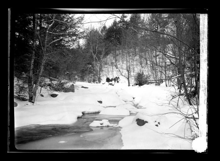 Brook near Wells, Hamilton Co., N.Y.