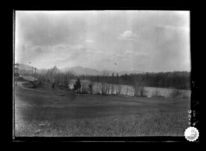 Lake encircled by trees