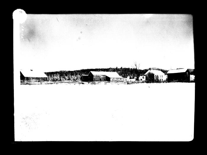 View of lot 71 Benson Township, Hamilton County, N.Y.