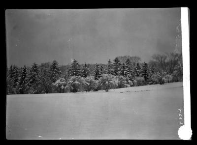 Snow scene in Washington Park, Albany, N.Y.