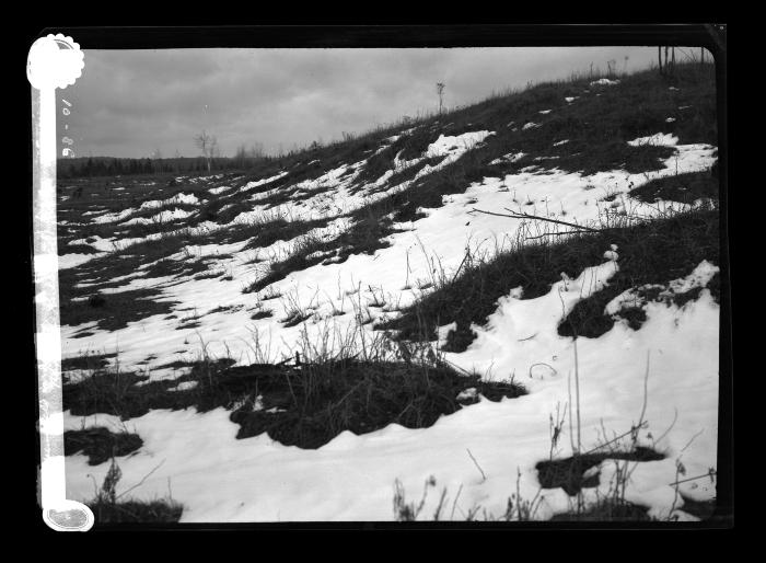 Open field in spring