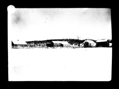 View of lot 71 Benson Township, Hamilton County, N.Y.