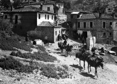 Houses and Street, Donkey Train Leaving the Town Fountain. Kalabaka, Greece