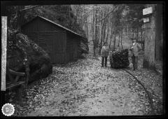A railway with only one rail, Thuringer Wald near Eisenach