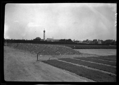 Portion of nursery of I. Heins Sohne as Halstenbek Germany, as seen from the tower