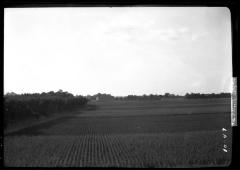 Portion of nursery of I. Heins Sohne at Halstenbek Germany, as seen from the tower