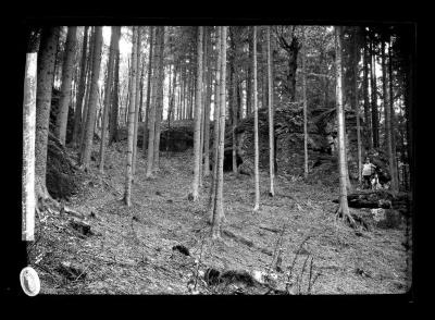 Forstmeister Kallenback looking over his forest at Eisenach