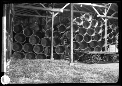 Baskets for shipping plants - Nursery of I. Heins Sohne, Halstenbek, Germany