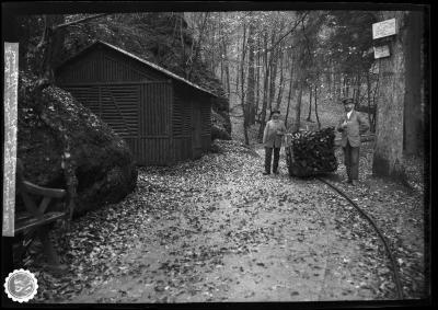 A railway with only one rail, Thuringer Wald near Eisenach