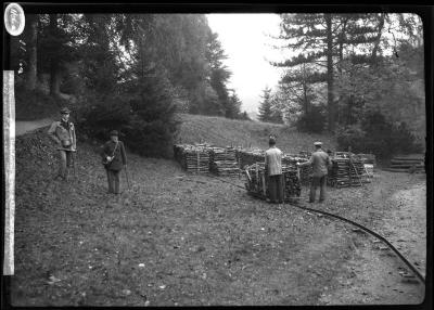 The terminus of a railway of one rail only, Thuringer wald near Eisenach