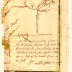 Map of two tracts of land surveyed for Robert Harpur, 1765