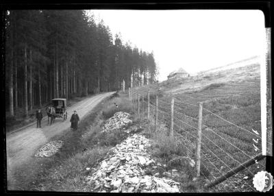 Forest nusery, house for forest workmen