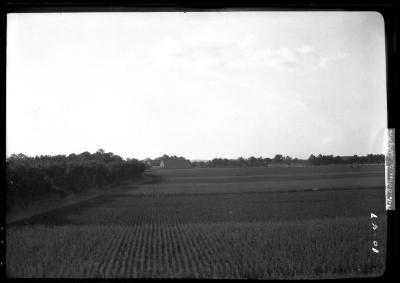 Portion of nursery of I. Heins Sohne at Halstenbek Germany, as seen from the tower