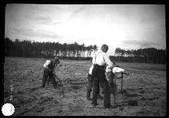 Preparing ground to be planted with Scotch pine, Grabow I. Mech