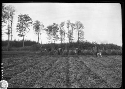 Farm laborers