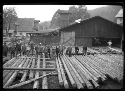 Sawmill at Cranzahl in the Erzgebirge