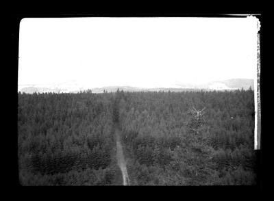 The Thuringer Wald as seen from Alexander Tower at Ruhla