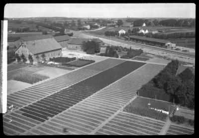 Portion of nursery of I. Heins Sohne at Halstenbek Germany, as seen from the tower