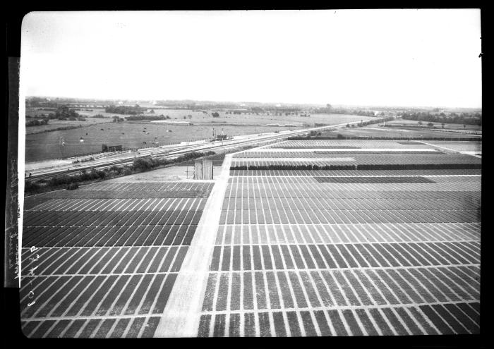 Portion of nursery of I. Heins Sohne, Halstenbek as seen from the tower