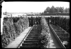 Seed chests in the nursery of I. Heins Sohne, Halstenbek, Germany