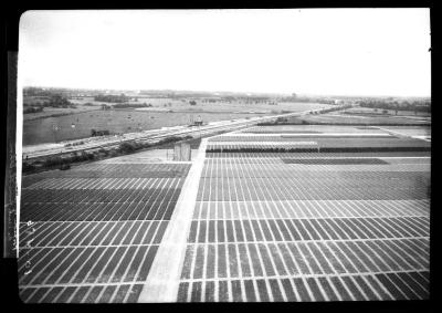 Portion of nursery of I. Heins Sohne, Halstenbek as seen from the tower