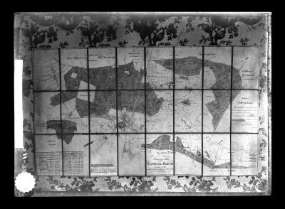 Map of the forest of Grabow I. Mech