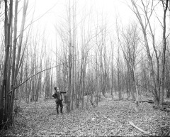 A man looking at a tree in the forest