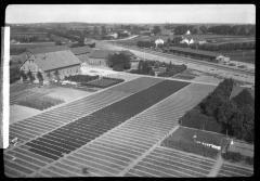 Portion of nursery of I. Heins Sohne at Halstenbek Germany, as seen from the tower