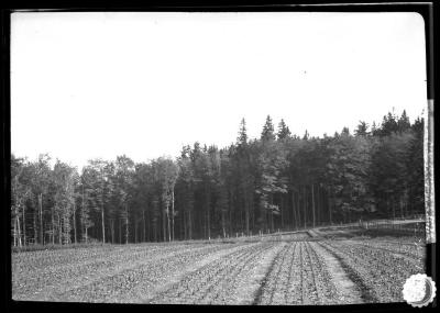 Nursery at Ruhla. Thuringer Wald.