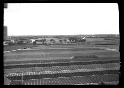 Portion of nursery of I. Heins Sohne as Halstenbek Germany, as seen from the tower