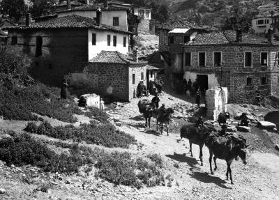 Houses and Street, Donkey Train Leaving the Town Fountain. Kalabaka, Greece