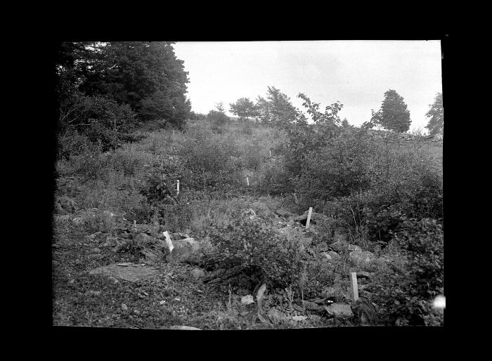 Chemical eradication, Schoharie County