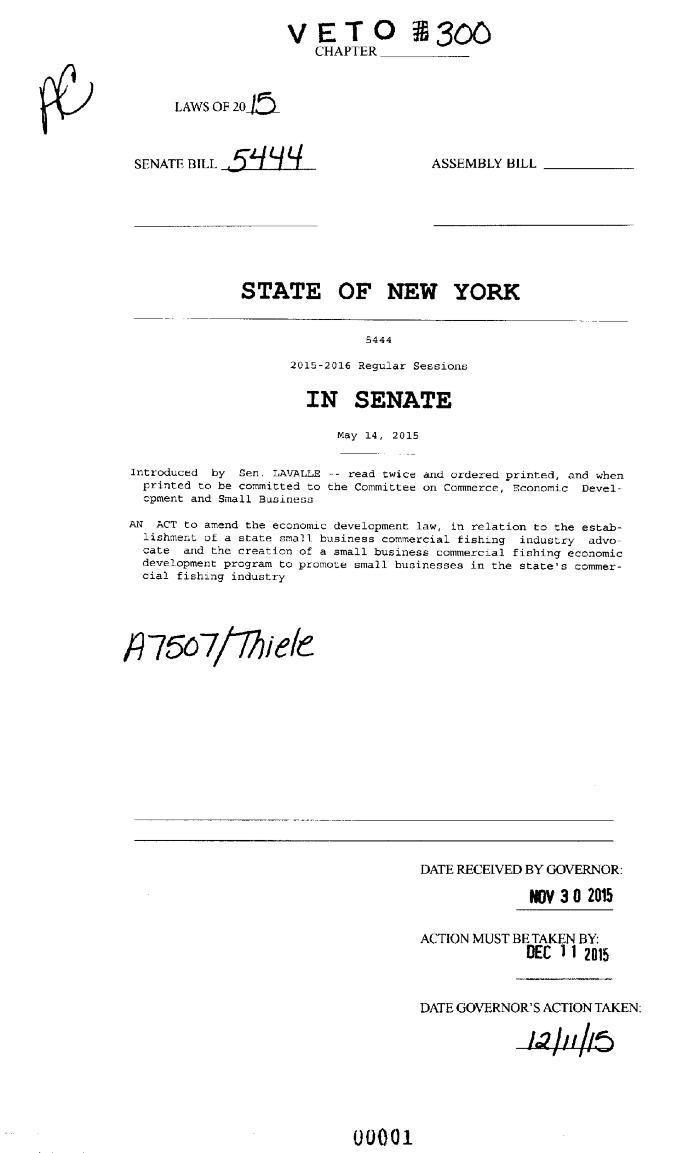 NYS Bill and Veto Jackets: 2015, Veto 300