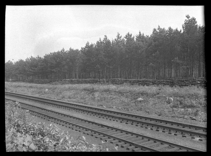 D&H Railway tracks in Duanesburg, Schenectady County, N.Y.