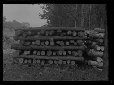 Stacked logs, Croghan, Lewis County