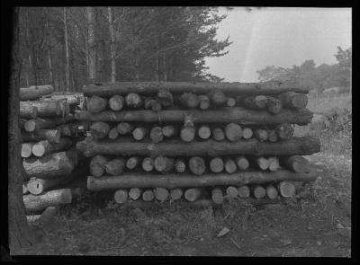 Stacked logs, Croghan, Lewis County