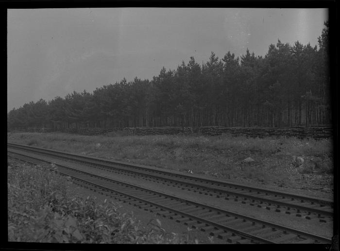 D&H Railway tracks in Duanesburg, Schenectady County, N.Y.