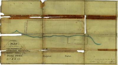 Survey of lands under water for Stephen, Samuel F. &amp; Samuel T. Taber