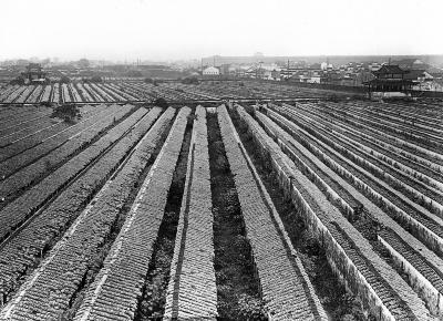 Section of 40,000 examination halls, Nanking, China