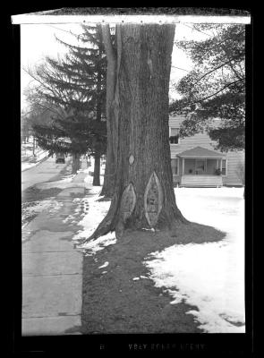 Winter street scene