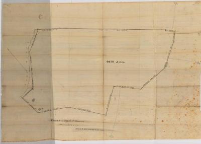 Survey of lands under water for Emily P. Woolsey