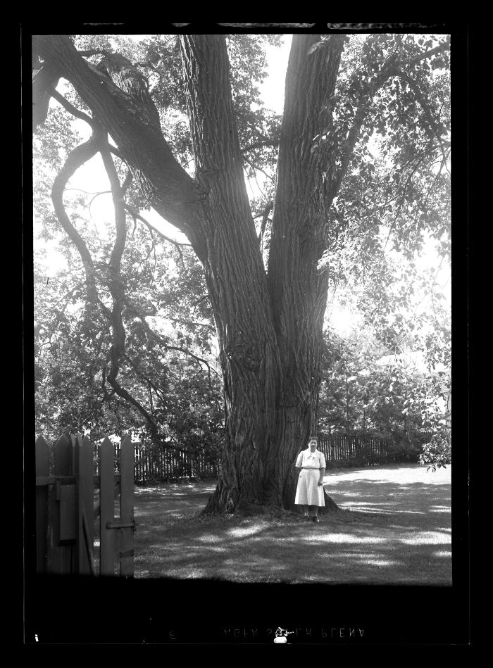 Woman in white in front of a large tree